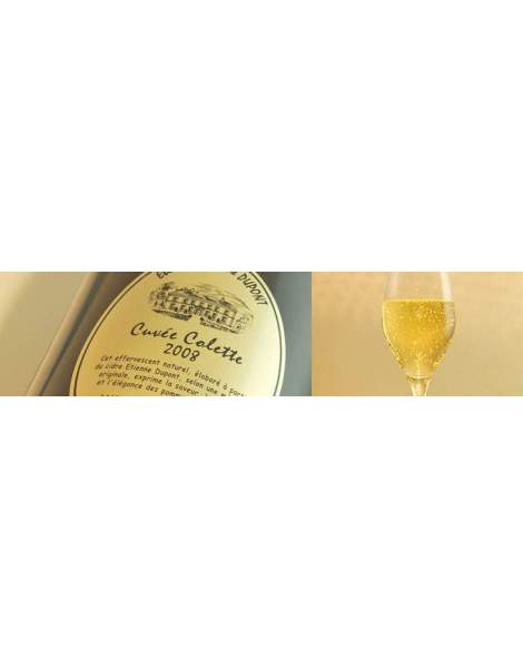 Cidre cuvée Colette Dupont 7,5% 75cl