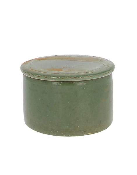 Beurrier conservateur à eau vert 210ml
