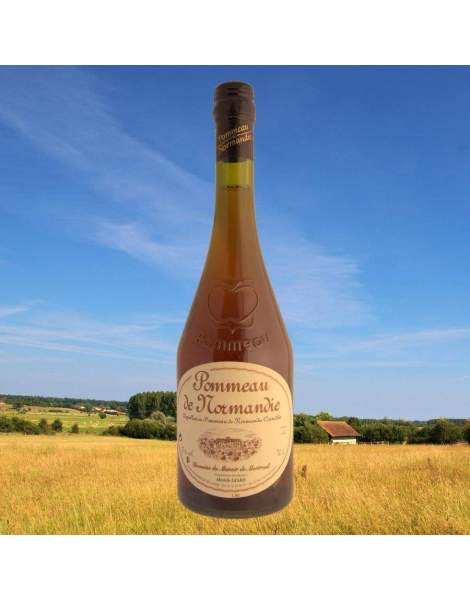 Pommeau de Normandie Giard 17% 70cl