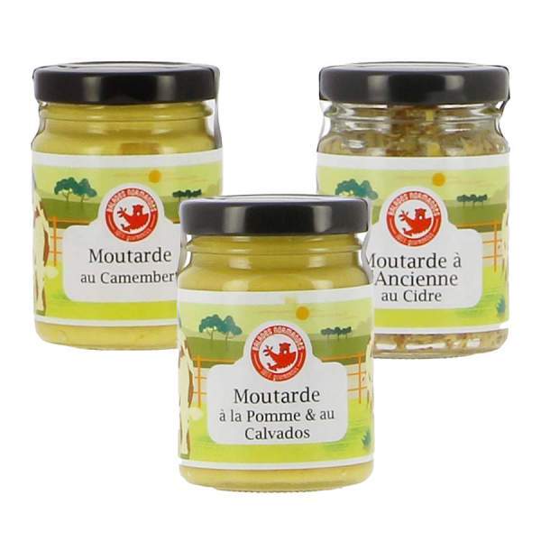 Lot de 3 moutardes normandes Bodet 3x100g