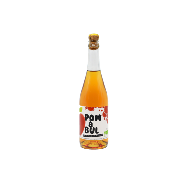 Jus de Pomme pétillant bio La galotière 33cl