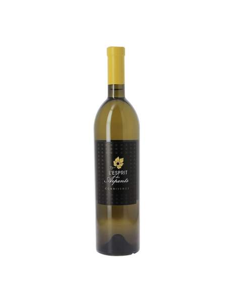 Vin IGP Connivence Arpents du soleil 14% 75cl