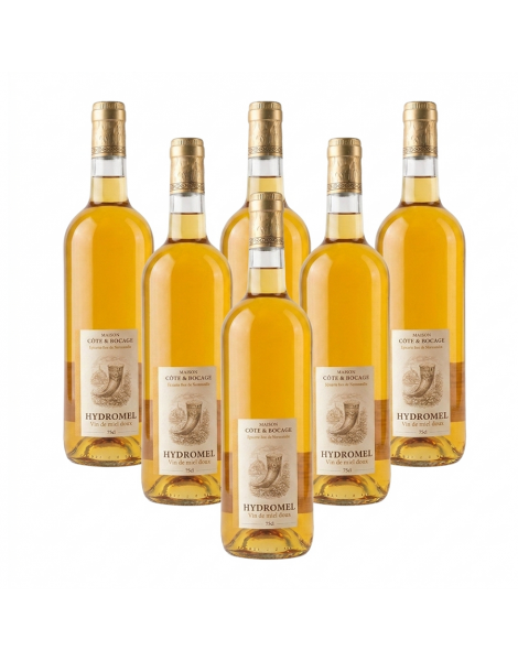 Hydromel 6 x 75cl Manoir des abeilles 13% 70cl