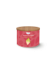 Tisane fruitée bio Mangue Abricot - Sorbet Tropical - Tatasse