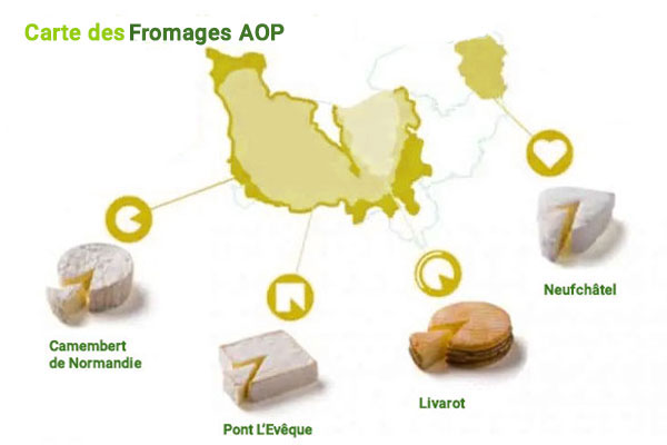Les 4 fromages AOC de Normandie